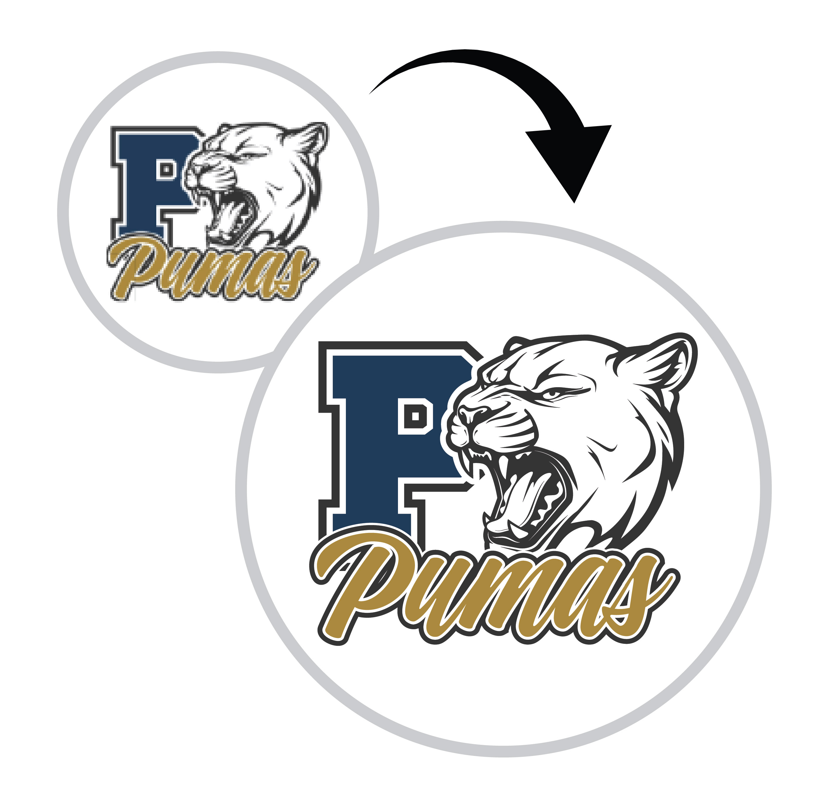 Vector Conversion